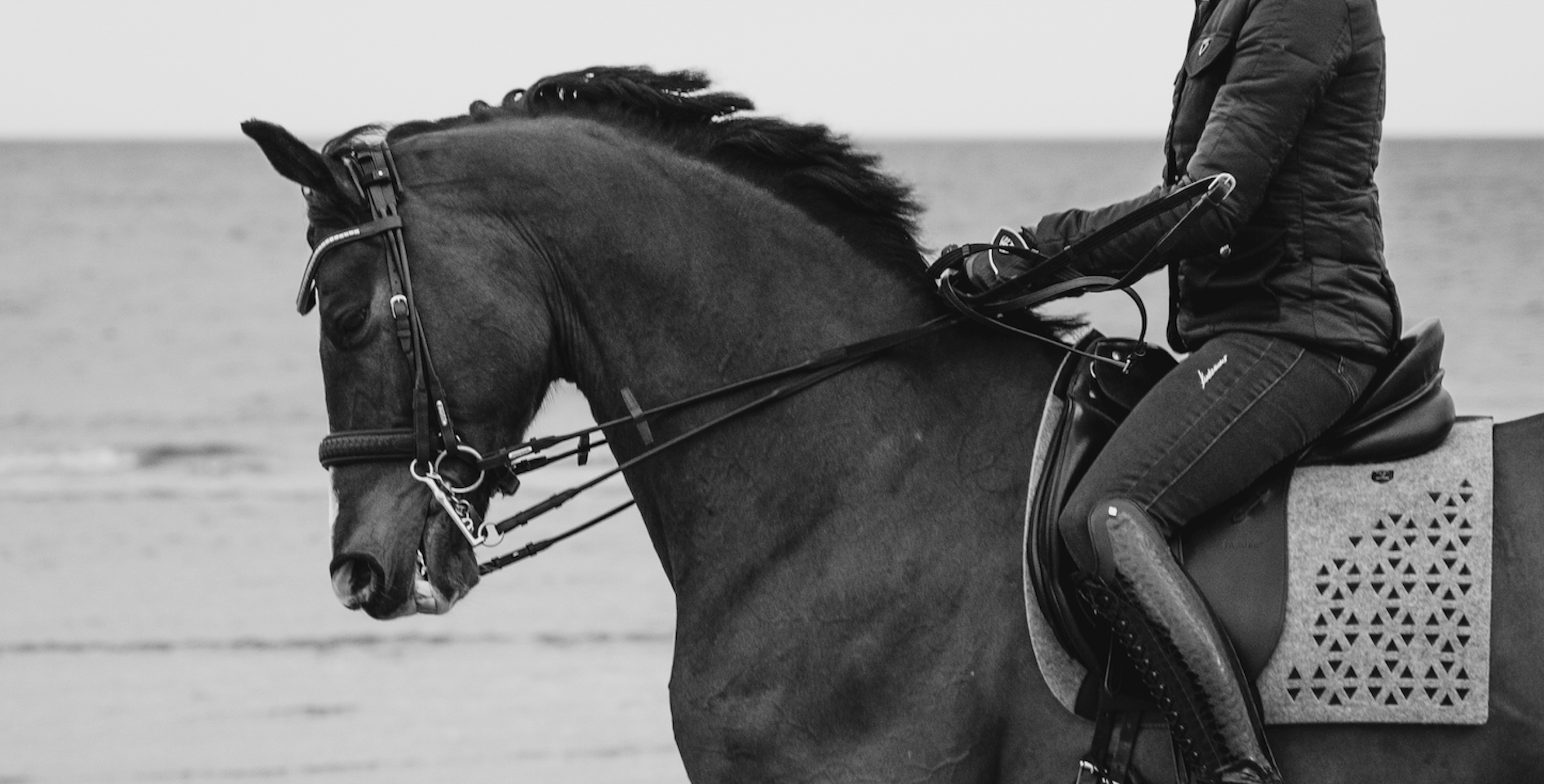 Utzon Equestrian Olympic Double Bridle