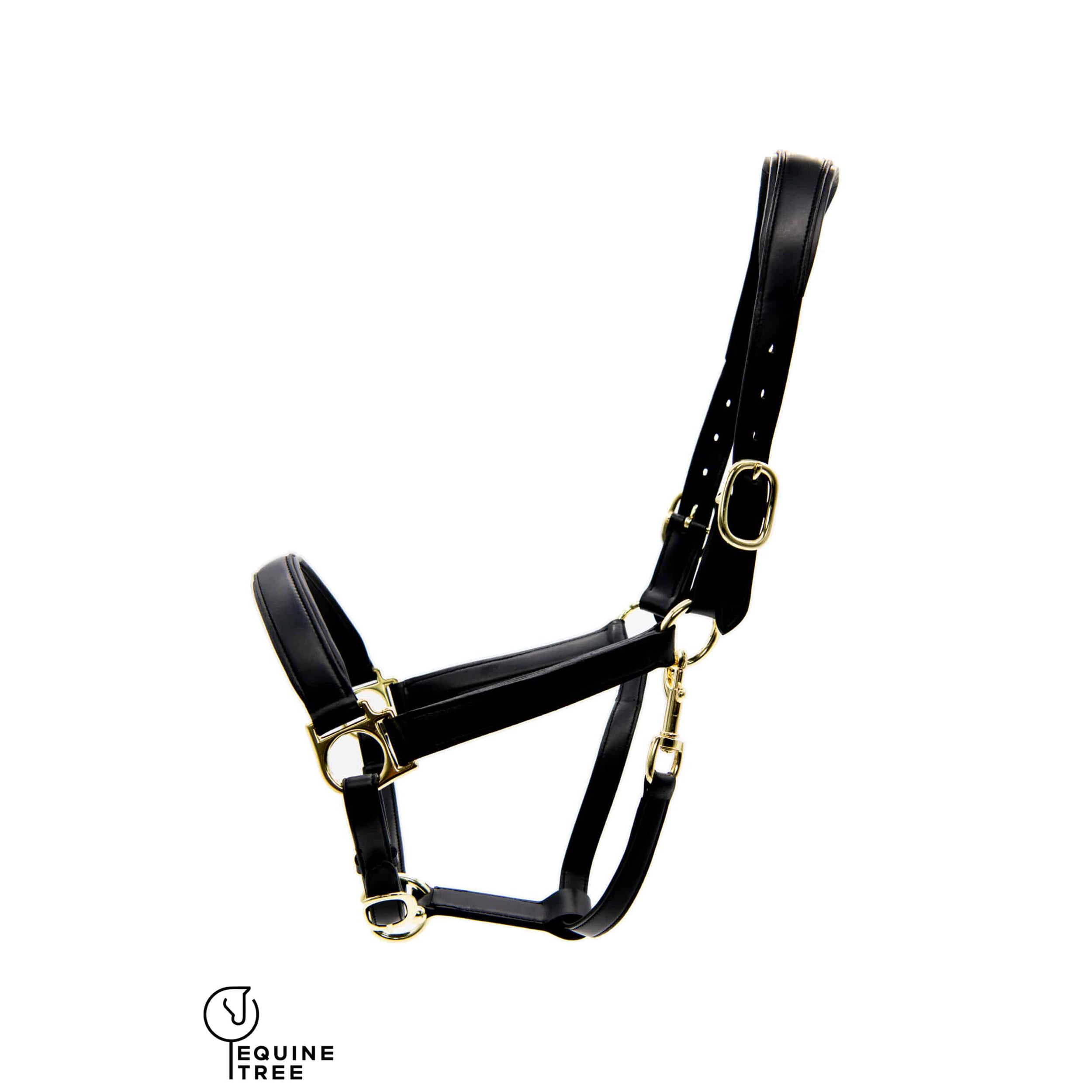 Halfter aus Apfelleder