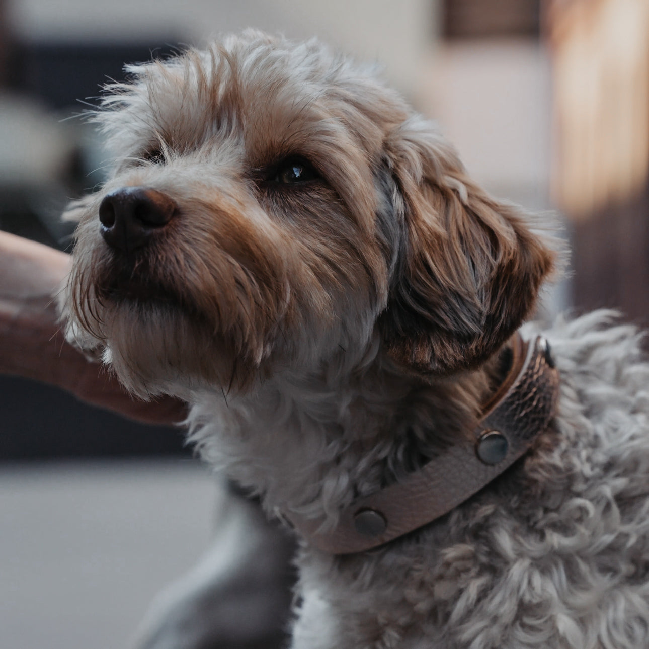 Designelement Nappa Leder