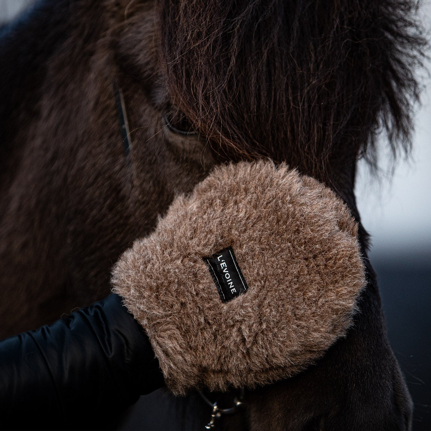 L'Evoine Pflegehandschuh Alpakavlies