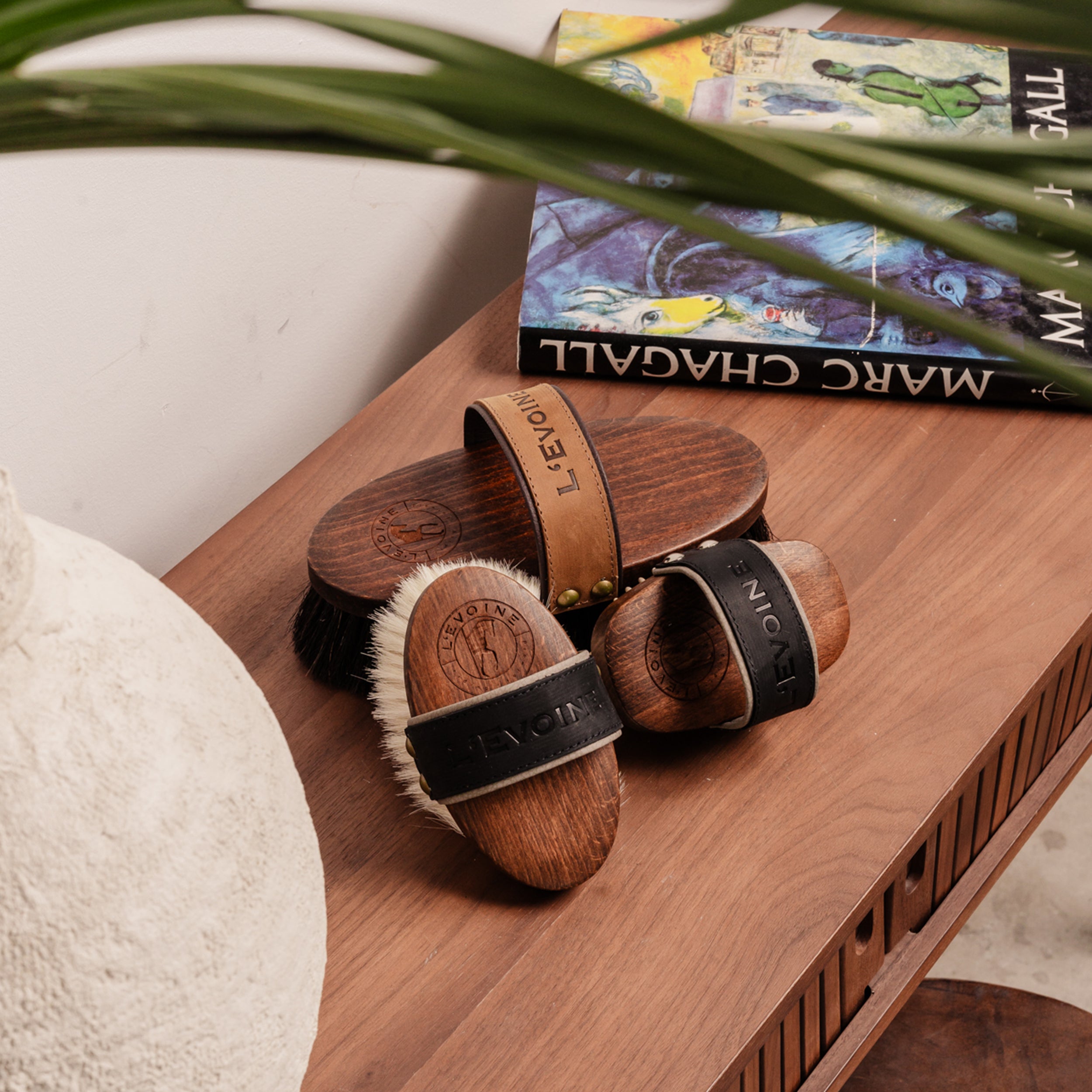 L'Evoine_Pferdebürstenset