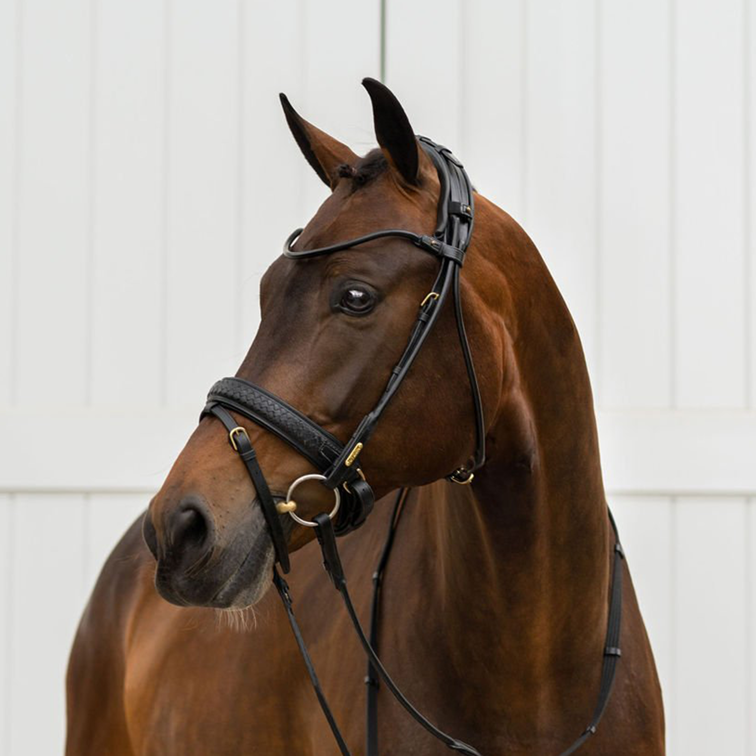 Utzon Equestrian Trense Olympic geflochtenes Leder, Luxus Trense, Zaumzeug, Reithalfter