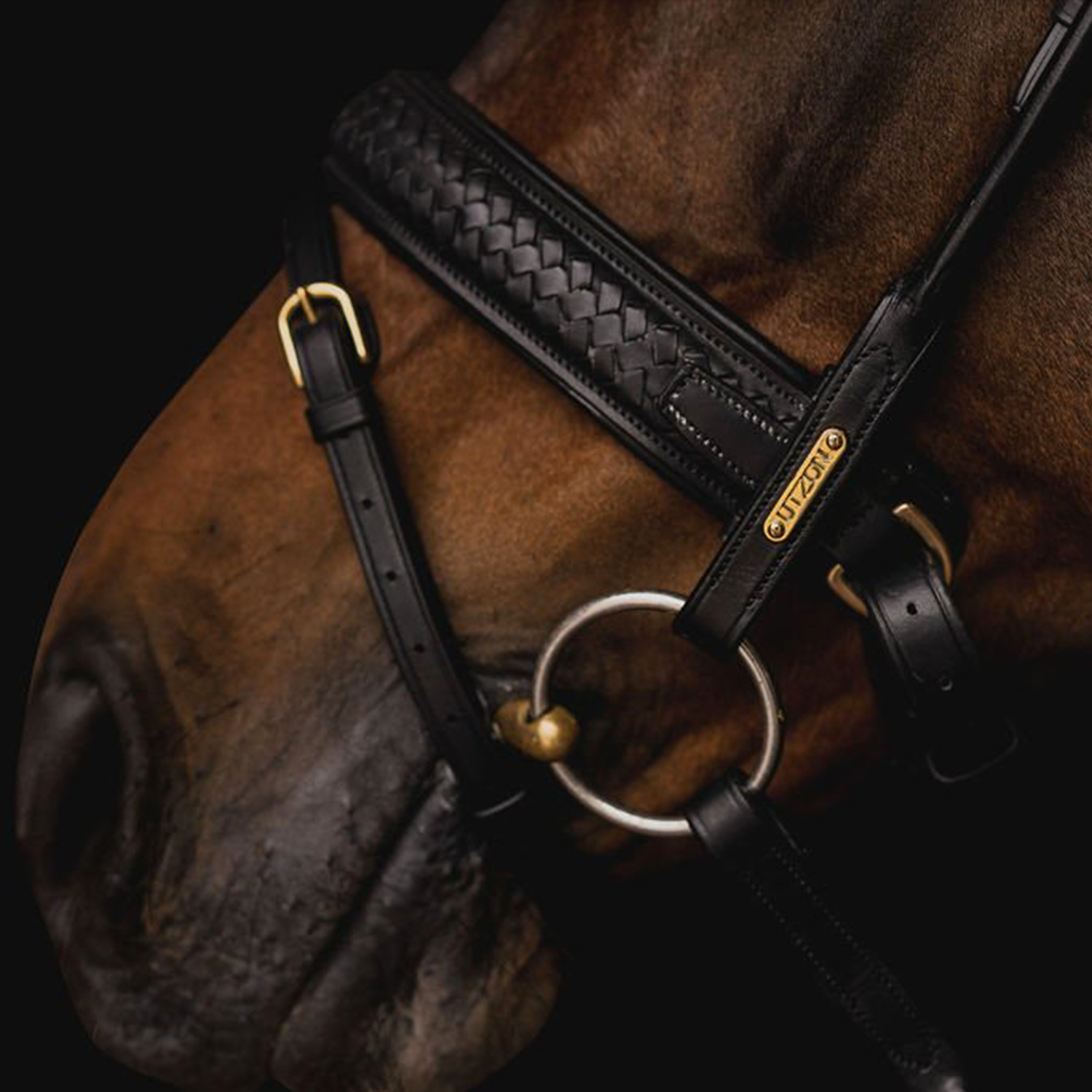 Utzon Equestrian Trense Olympic geflochtenes Leder, Luxus Trense, Zaumzeug, Reithalfter