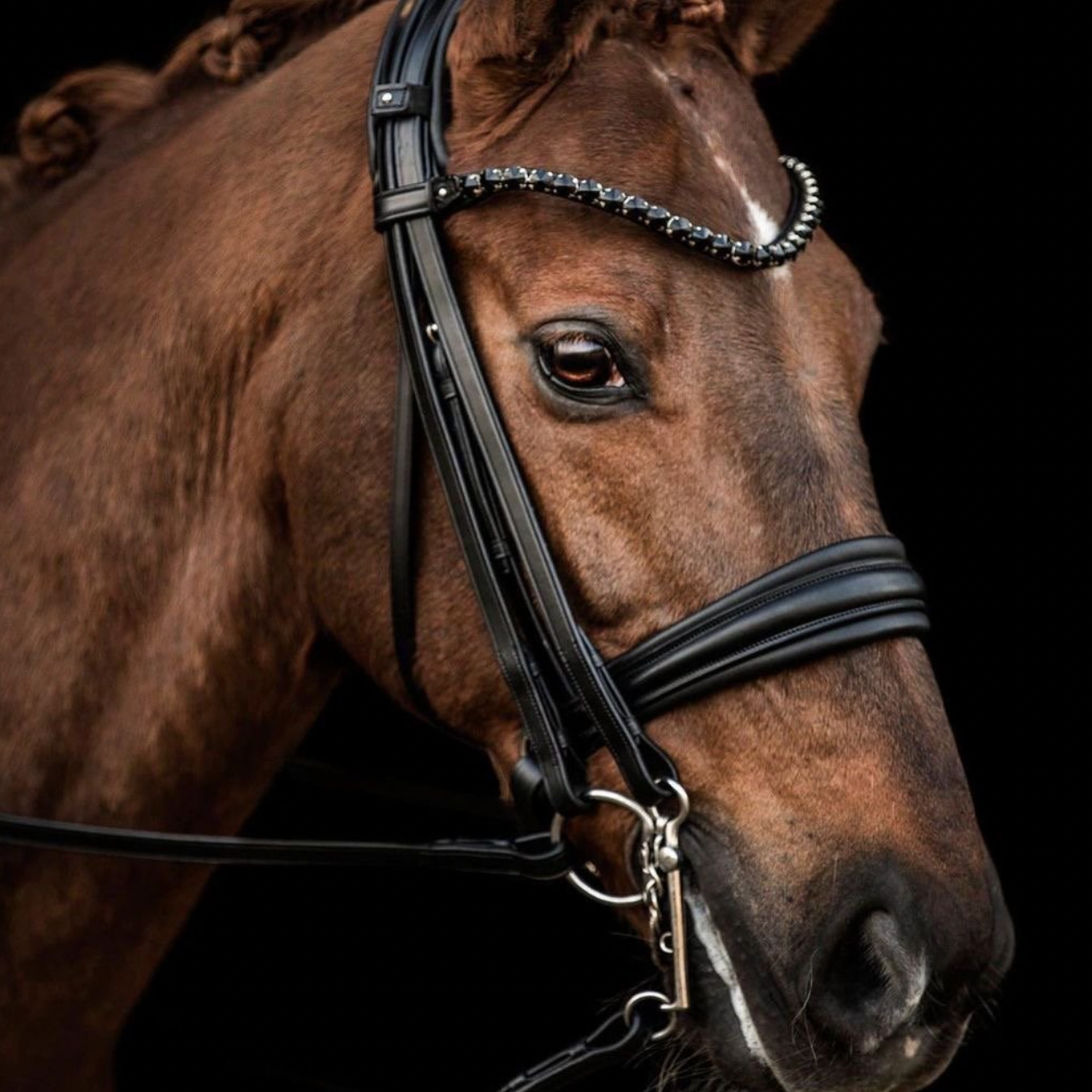 Utzon Equestrian London double bridle