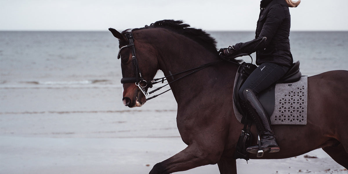 Utzon Equestrian Luxus Trensen