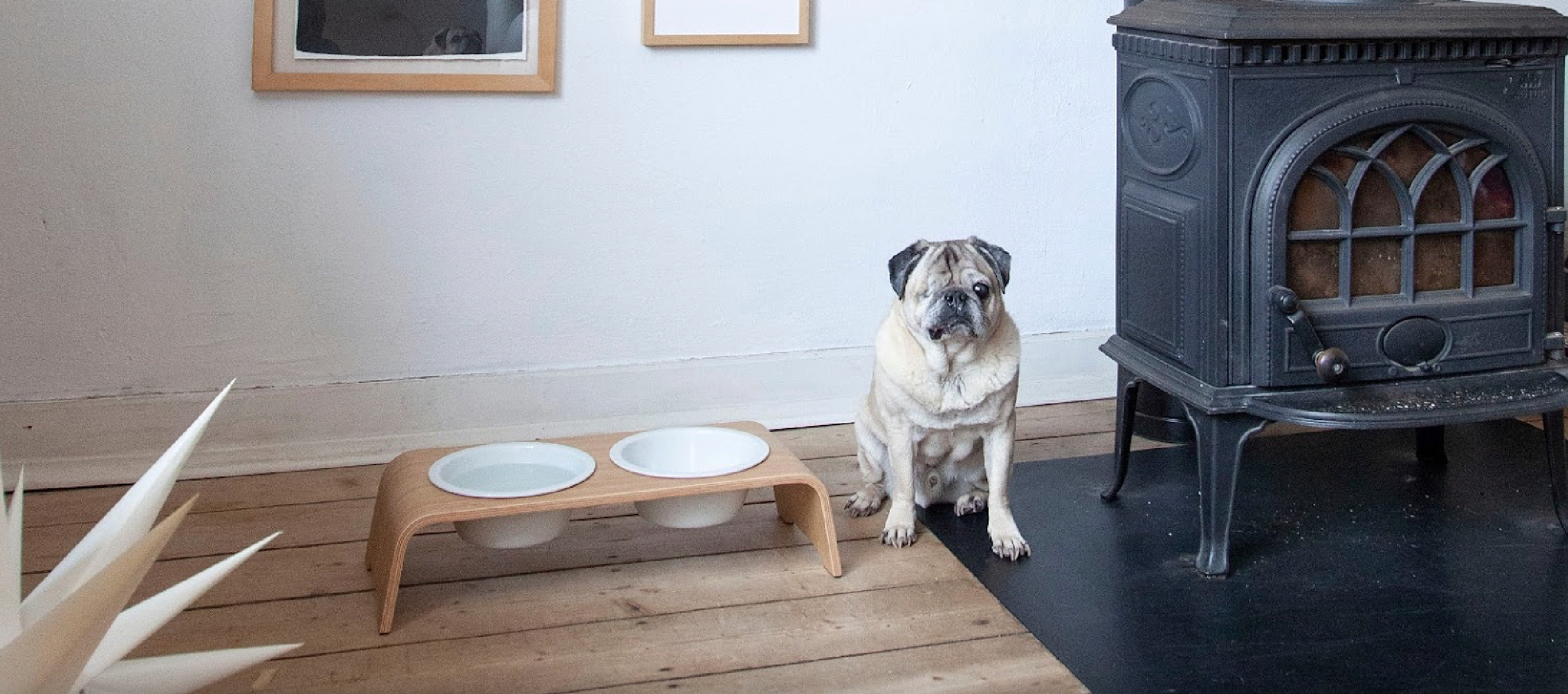 dogBar Futterstation 