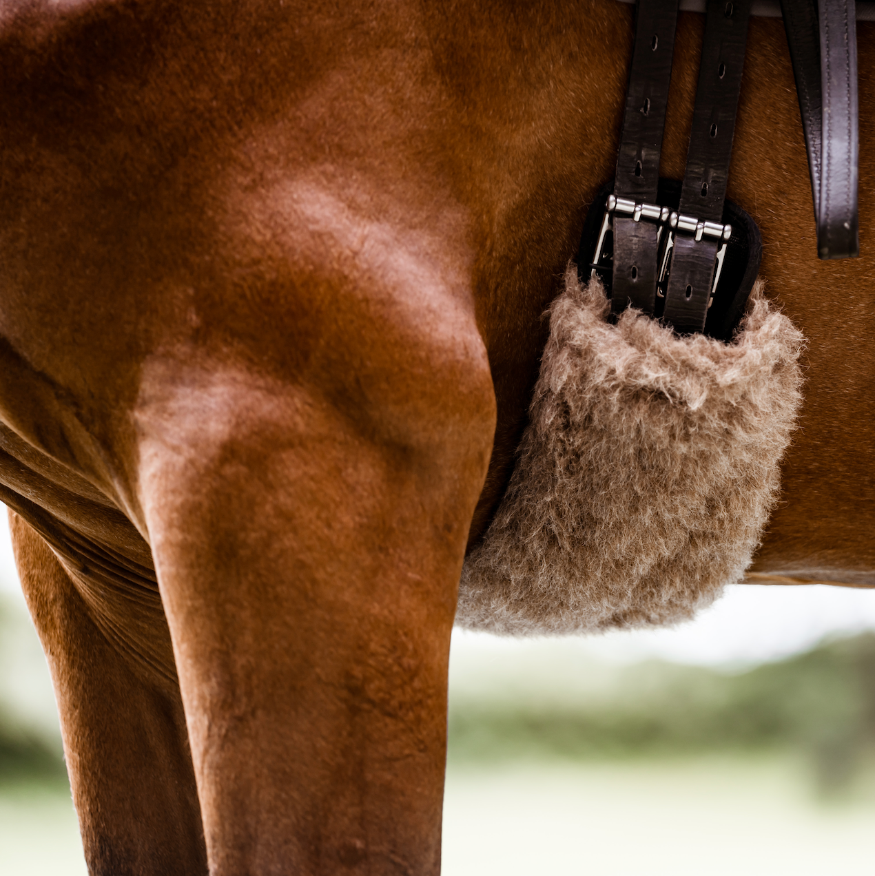 L'Evoine Gurtschoner Alpakavlies