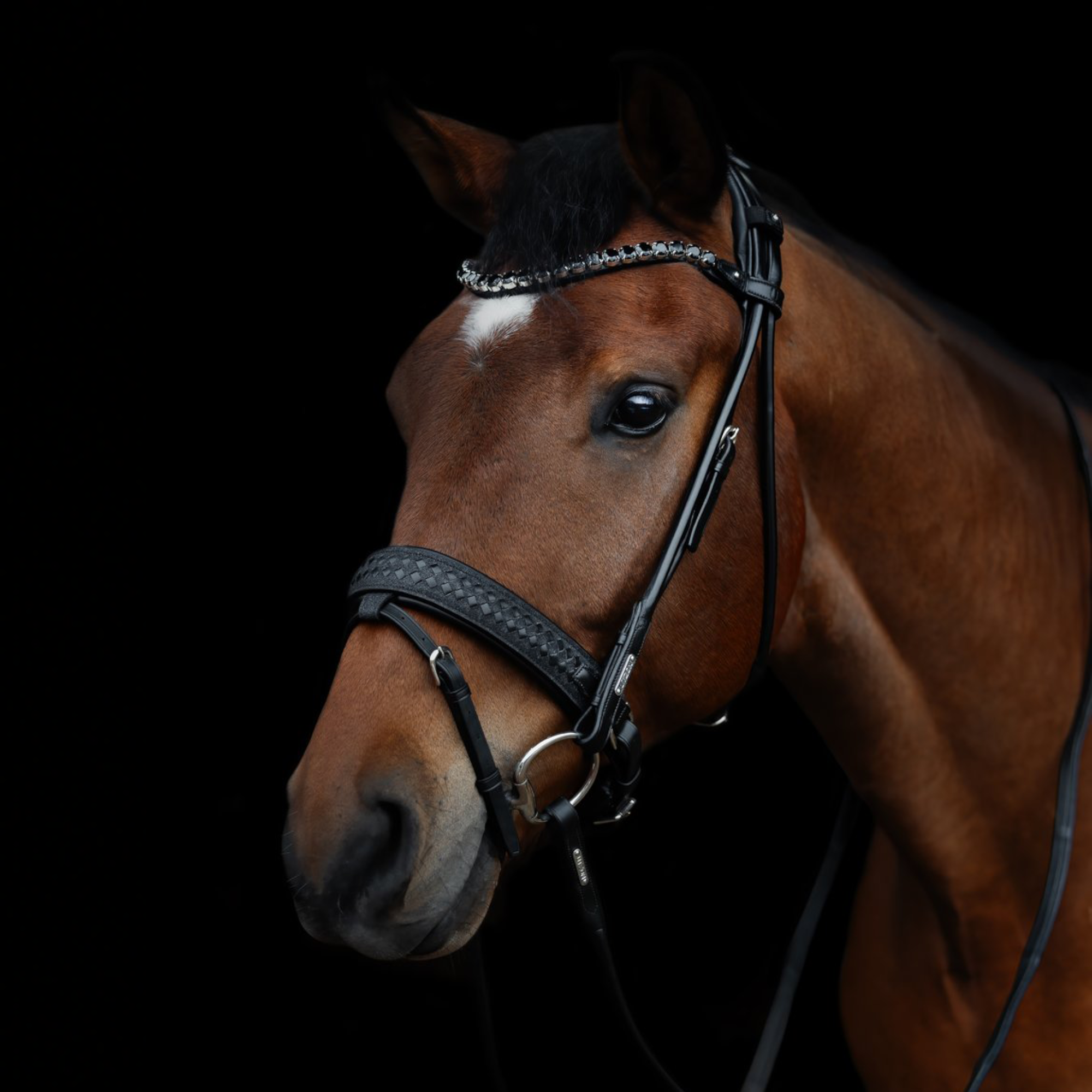 Utzon Equestrian 