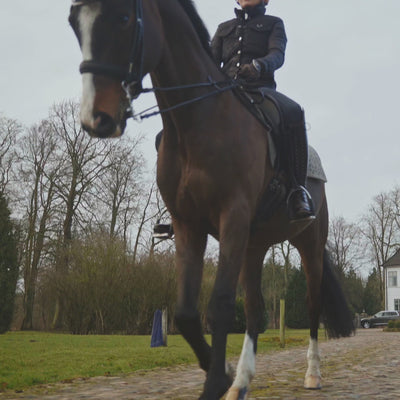 utzon kandare olympic double bridle geflochtenes Leder