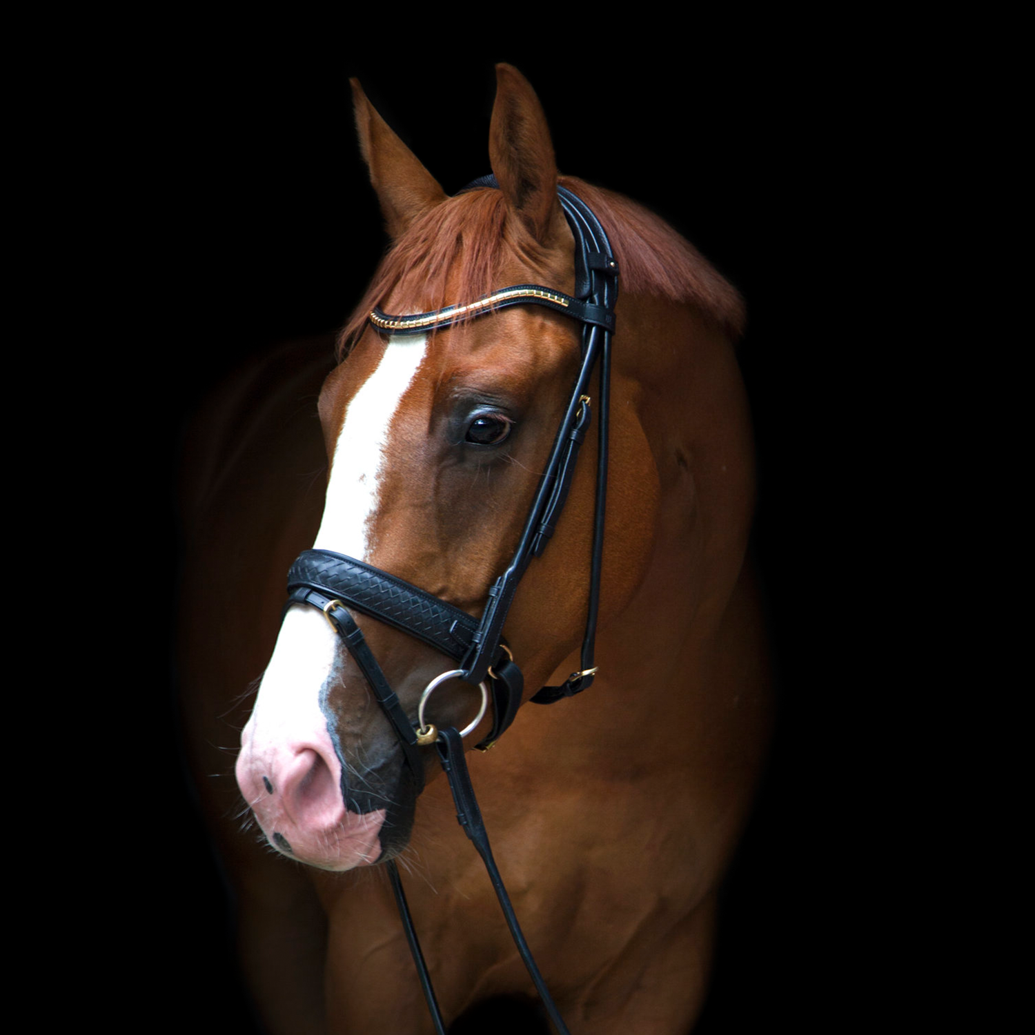 Utzon Equestrian  Trense Olympic geflochtenes Leder, Luxus Trense, Zaumzeug, Reithalfter