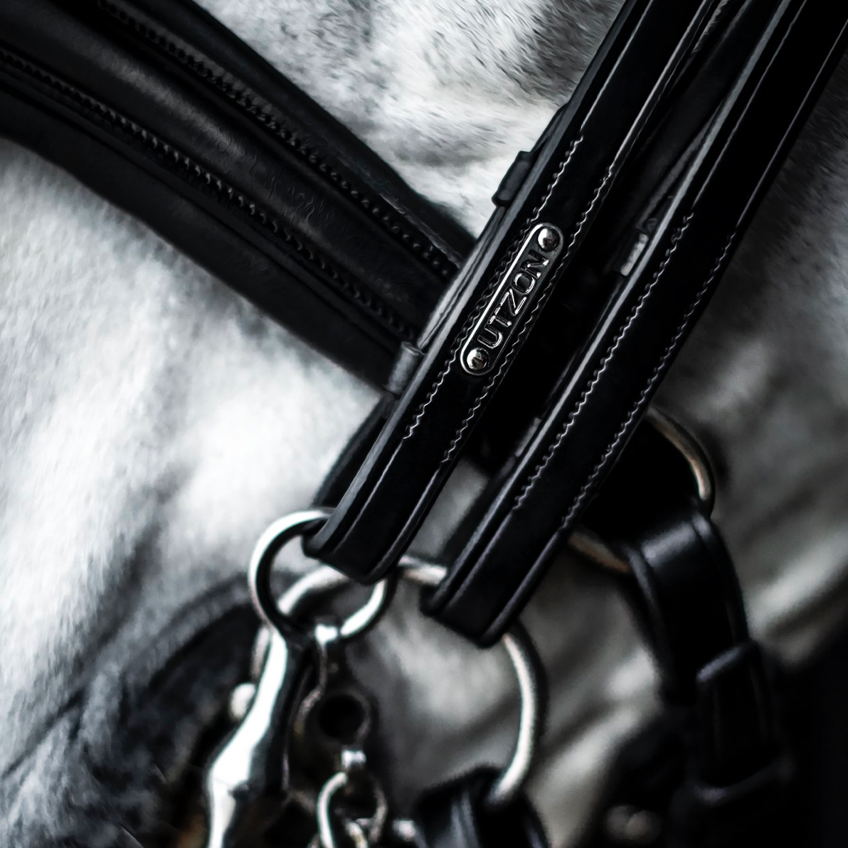 Utzon Equestrian London double bridle 