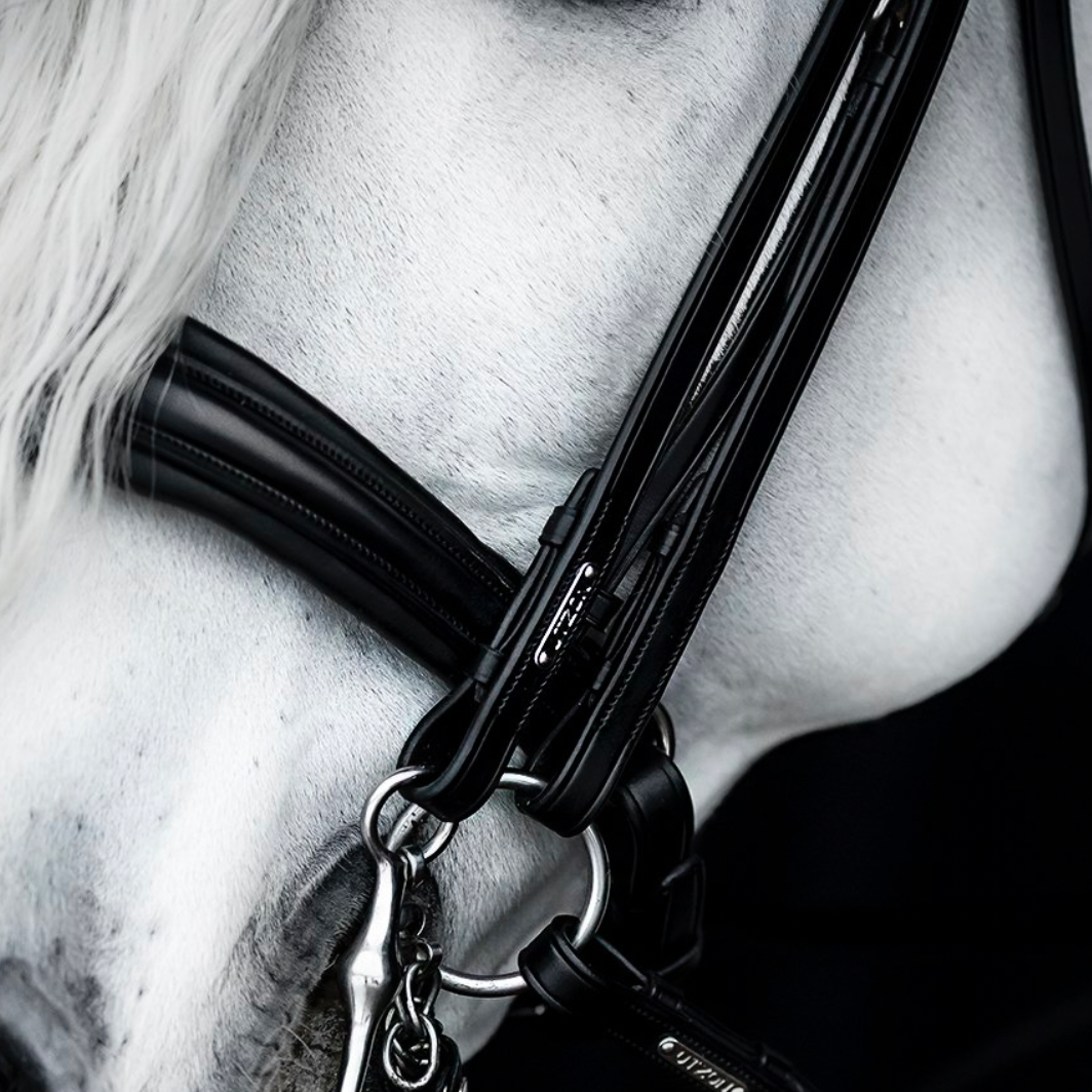 Utzon Equestrian London double bridle 