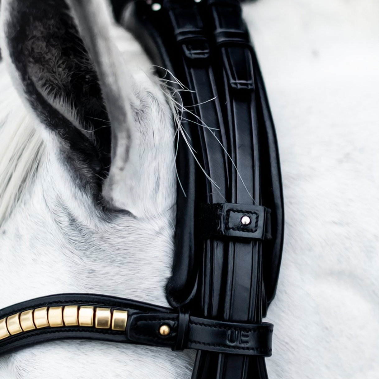 Utzon Equestrian London double bridle 
